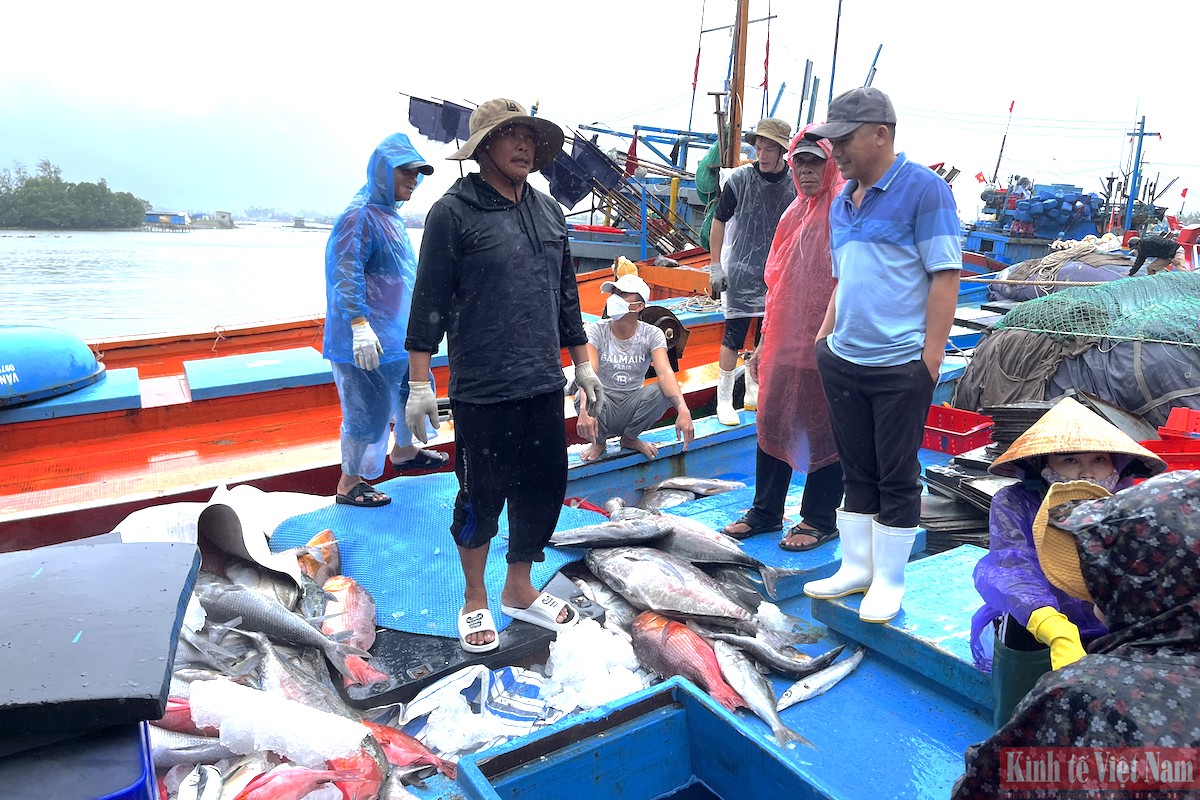 Xây dựng Hệ sinh thái tận dụng FTA sẽ làm răng tỷ lệ hưởng lợi từ các FTA cho doanh nghiệp xuất khẩu, tạo đầu ra bền vững cho người nuôi trồng, đánh bắt thủy sản Xây dựng Hệ sinh thái tận dụng FTA sẽ làm răng tỷ lệ hưởng lợi từ các FTA cho doanh nghiệp xuất khẩu, tạo đầu ra bền vững cho người nuôi trồng, đánh bắt thủy sản