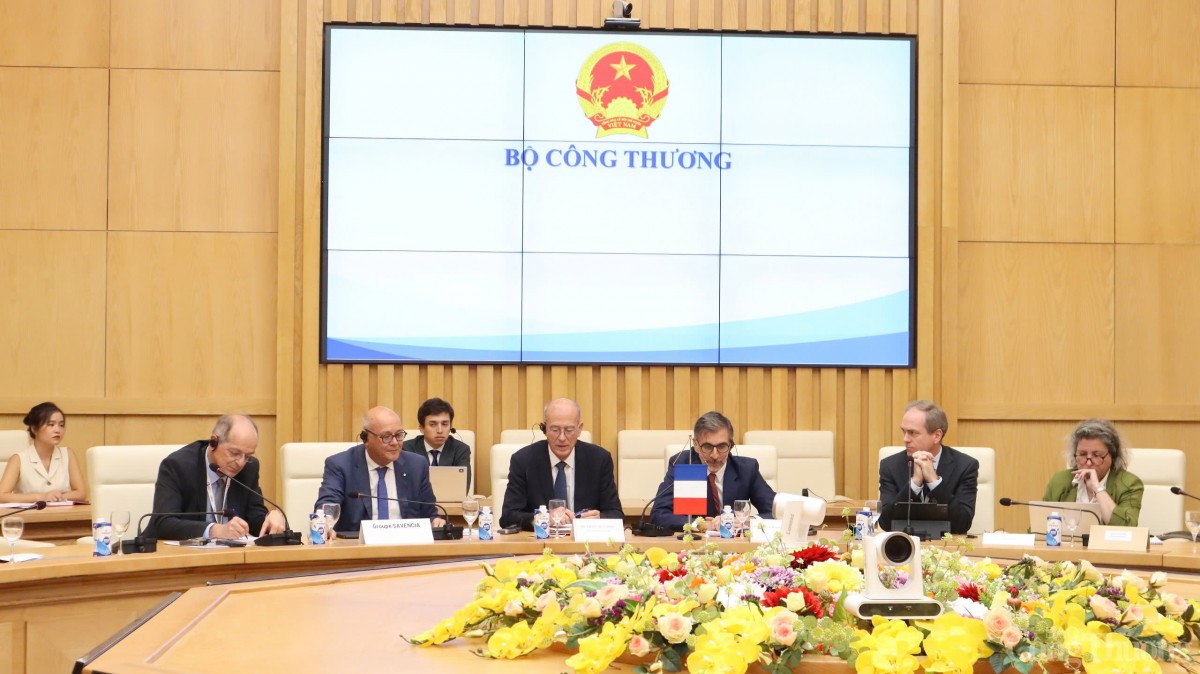 Thứ trưởng Nguyễn Hoàng Long tiếp và làm việc với lãnh đạo các Tập đoàn Pháp
