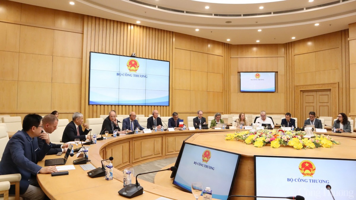 Thứ trưởng Nguyễn Hoàng Long tiếp và làm việc với lãnh đạo các Tập đoàn Pháp