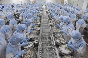 Đâu là lý do khiến xuất khẩu thủy sản tự tin cán mốc 10 tỷ USD?