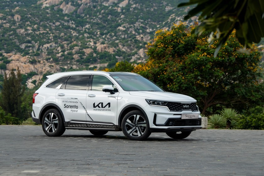 Kia K5 và Kia Sorento ưu đãi đặc biệt gần nửa tỷ đồng Kia K5 và Kia Sorento ưu đãi đặc biệt gần nửa tỷ đồng