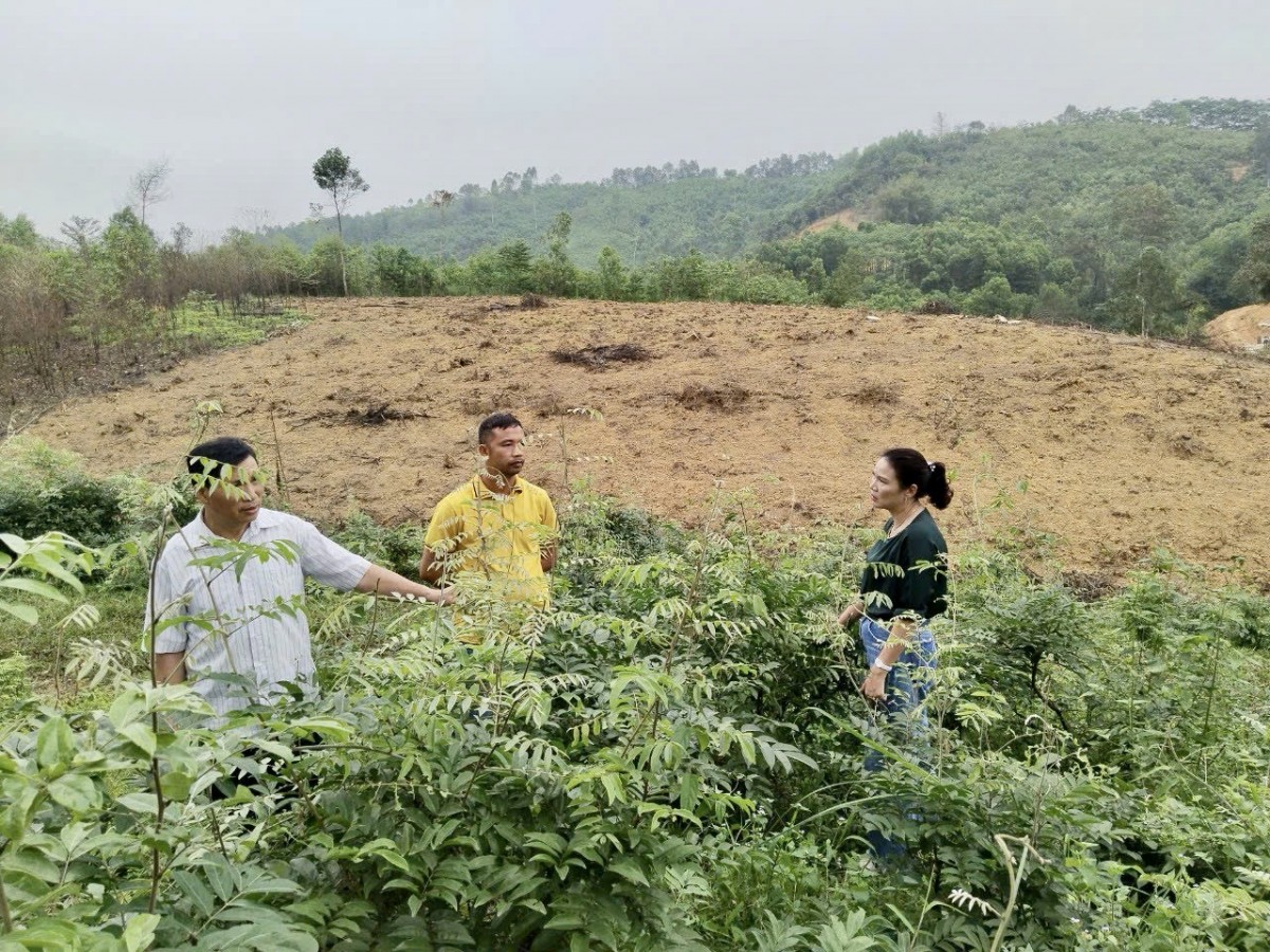 Phát triển dược liệu thúc đẩy giao thương khu vực đồng bào dân tộc thiểu số và miền núi
