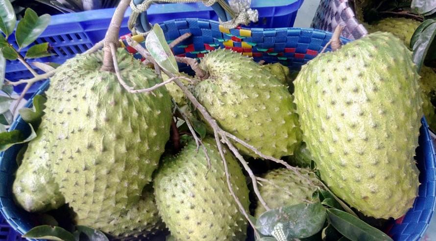 Giá nông sản hôm nay 25/11/2024: Giá dưa hấu giảm hơn một nửa; mãng cầu xiêm ở Hậu Giang tăng cao Giá nông sản hôm nay 25/11/2024: Giá dưa hấu giảm hơn một nửa; mãng cầu xiêm ở Hậu Giang tăng cao