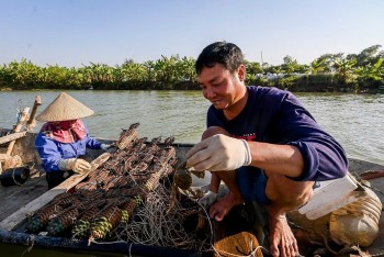 Cà ra Quảng Ninh: Gìn giữ món quà thiên nhiên, khẳng định thương hiệu đặc sản
