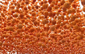 Lâm Đồng đứng đầu 5 tỉnh Tây Nguyên về chỉ số phát triển thương mại điện tử