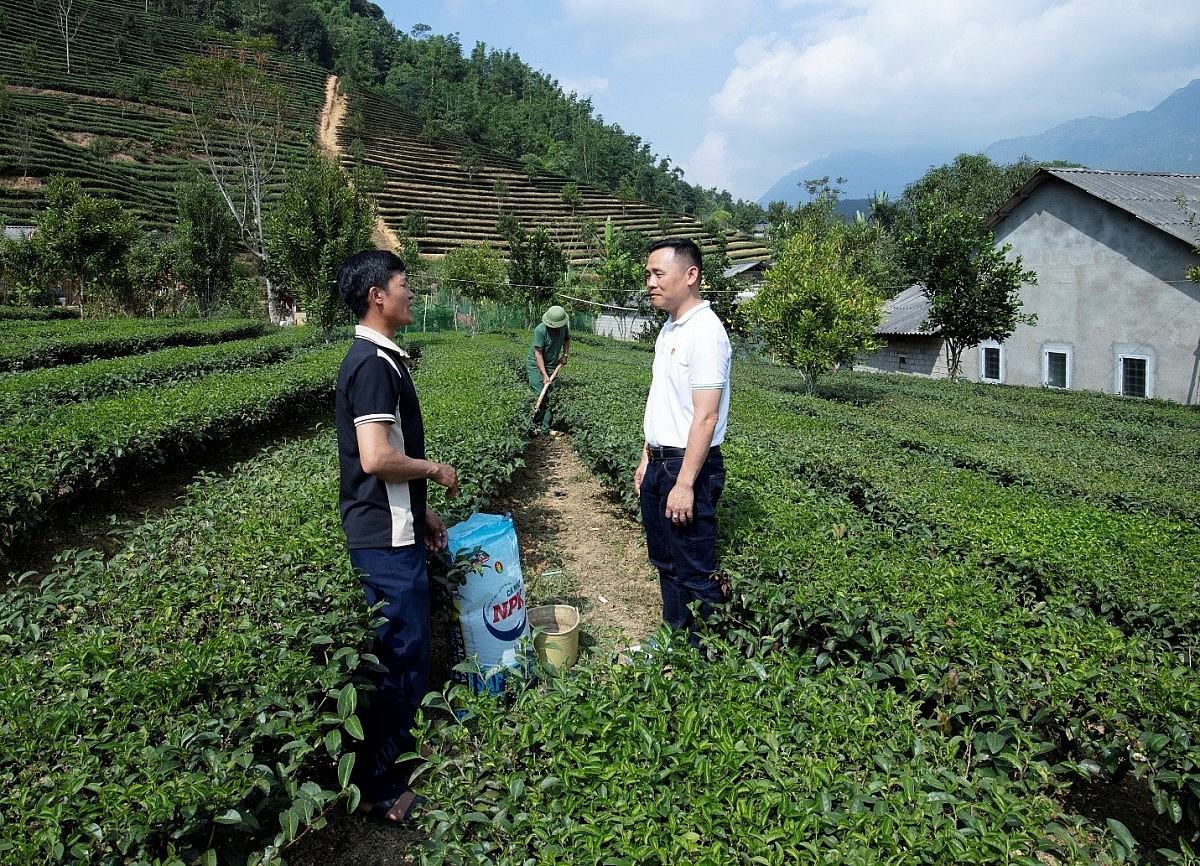 PVCFC thăm hỏi và chia sẻ về việc canh tác của bà con nông dân PVCFC thăm hỏi và chia sẻ về việc canh tác của bà con nông dân