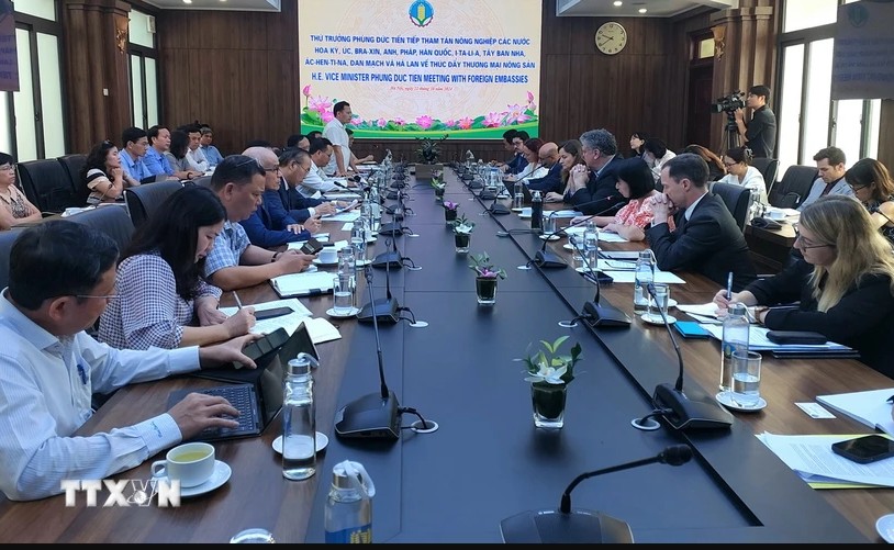 Từ quy định nhập khẩu thịt và những giải pháp tháo gỡ 'điểm nghẽn' cho dòng chảy thương mại
