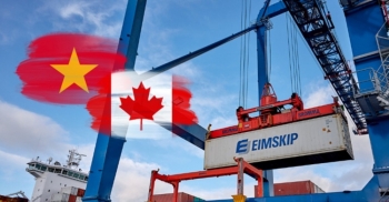 Cơ hội ‘vàng’ từ Hiệp định CPTPP giúp tăng tốc xuất khẩu sang Canada