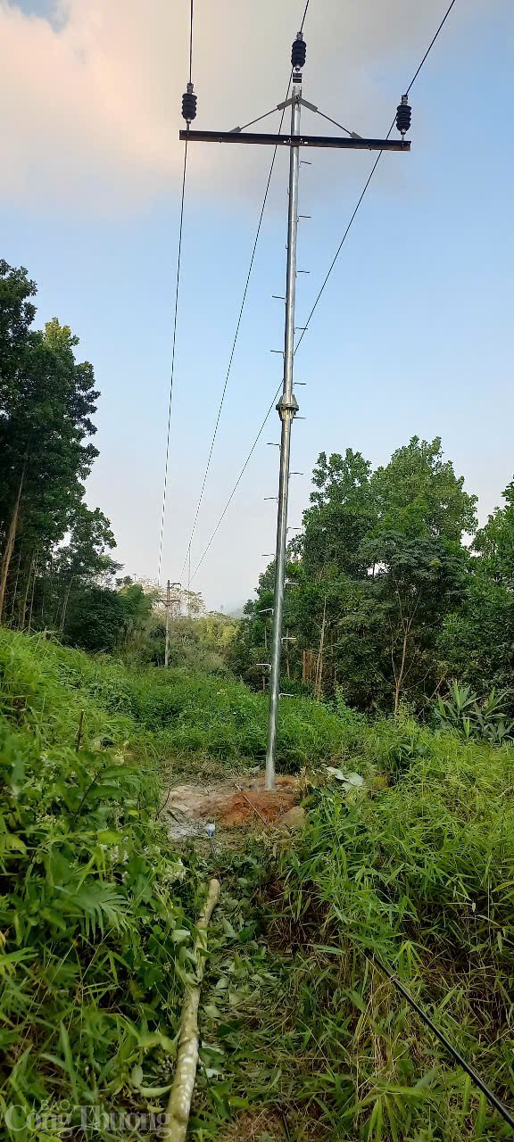 Công ty Điện lực Hà Giang: Quyết tâm làm sạch hành lang lưới điện