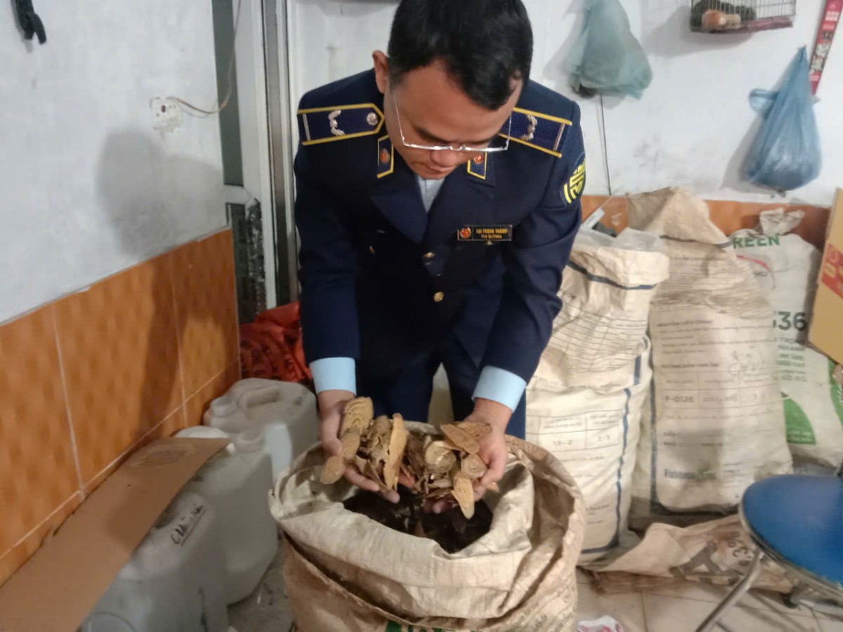 Lai Châu: Xử phạt hộ kinh doanh dược liệu không đăng ký kinh doanh theo quy định