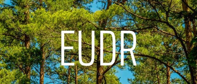 ngành nông lâm sản Việt Nam đang đối mặt với những thách thức mới, đặc biệt là từ các quy định môi trường ngày càng chặt chẽ của các thị trường nhập khẩu lớn ngành nông lâm sản Việt Nam đang đối mặt với những thách thức mới, đặc biệt là từ các quy định môi trường ngày càng chặt chẽ của các thị trường nhập khẩu lớn