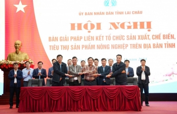 Lai Châu: Tìm giải pháp liên kết tổ chức sản xuất, chế biến tiêu thụ sản phẩm nông nghiệp