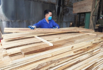 Quảng Ninh nỗ lực thúc đẩy phát triển ngành công nghiệp chế biến gỗ