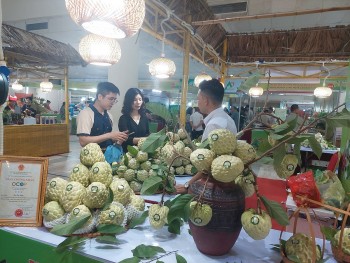 Giải pháp nào để tiêu thụ hiệu quả nông sản miền núi?