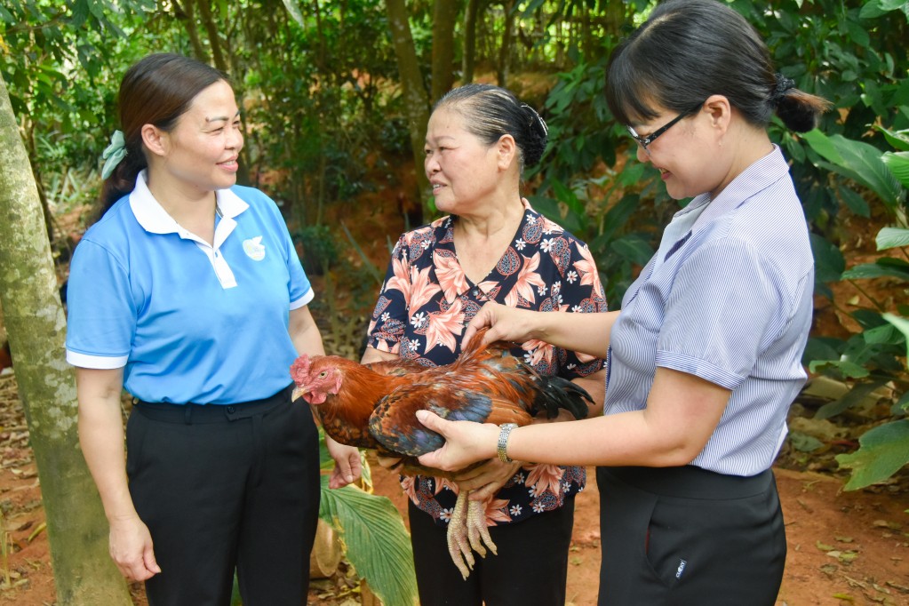 Quảng Ninh: Đồng hành, hỗ trợ nâng cao quyền năng kinh tế của phụ nữ - Bài 1: Đánh thức nội lực vươn lên Quảng Ninh: Đồng hành, hỗ trợ nâng cao quyền năng kinh tế của phụ nữ - Bài 1: Đánh thức nội lực vươn lên