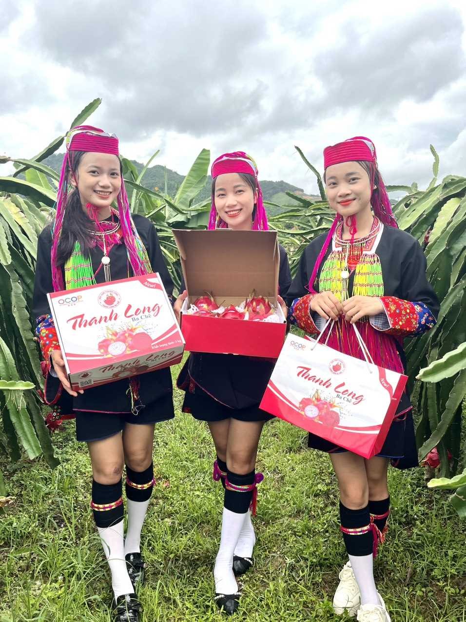 Sản phẩm OCOP thanh long ruột đỏ của xã Nam Sơn (huyện Ba Chẽ). Sản phẩm OCOP thanh long ruột đỏ của xã Nam Sơn (huyện Ba Chẽ).