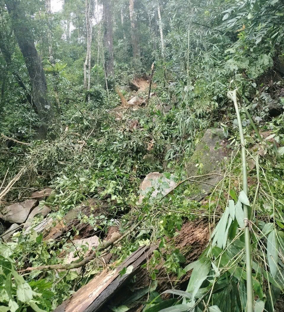 Xã Trà Don (huyện Nam Trà My) xảy ra vụ sạt lở ngay sau các trận động đất tại huyện Kon Plông (tỉnh Kon Tum) (Ảnh: UBND xã Trà Don) Xã Trà Don (huyện Nam Trà My) xảy ra vụ sạt lở ngay sau các trận động đất tại huyện Kon Plông (tỉnh Kon Tum) (Ảnh: UBND xã Trà Don)