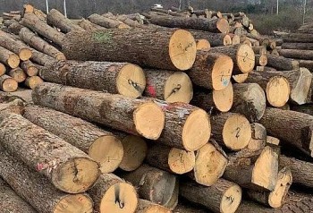 Điểm danh nhóm hàng xuất khẩu của ngành nông nghiệp Việt Nam đóng góp hơn 44 tỷ USD