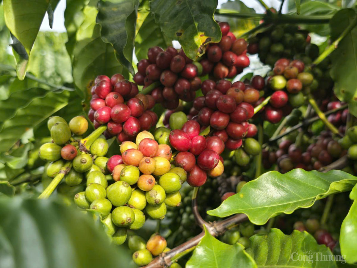 Lâm Đồng: Chuyên gia ‘hiến kế’ để hội nhập sâu rộng kinh tế quốc tế