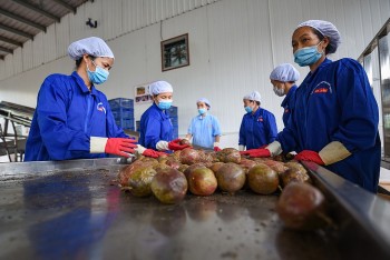 Sơn La: Nâng cao hiệu quả chế biến nông sản