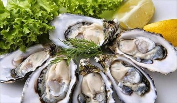 Hàu là 1 trong 4 sản phẩm nhuyễn thể có vỏ xuất khẩu chủ lực  của Việt Nam