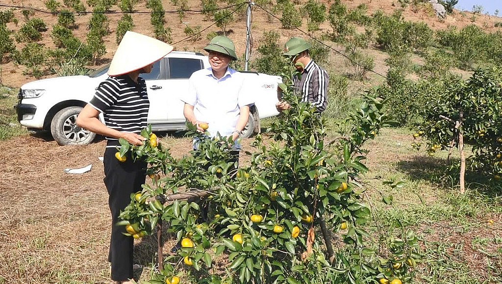 Giám đốc HTX Cam 10/10 giới thiệu mô hình cam Vạn Yên. Giám đốc HTX Cam 10/10 giới thiệu mô hình cam Vạn Yên.