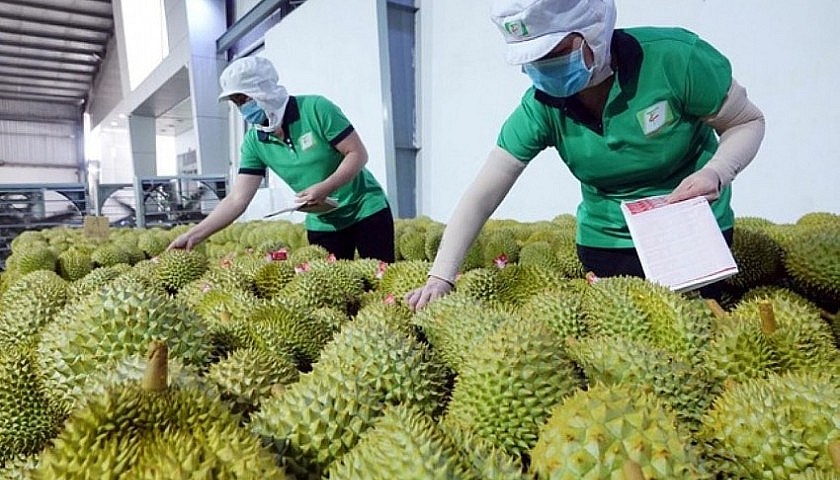 Xuất khẩu nông lâm thủy sản tăng kỷ lục, vượt mục tiêu năm 2024. Xuất khẩu nông lâm thủy sản tăng kỷ lục, vượt mục tiêu năm 2024.