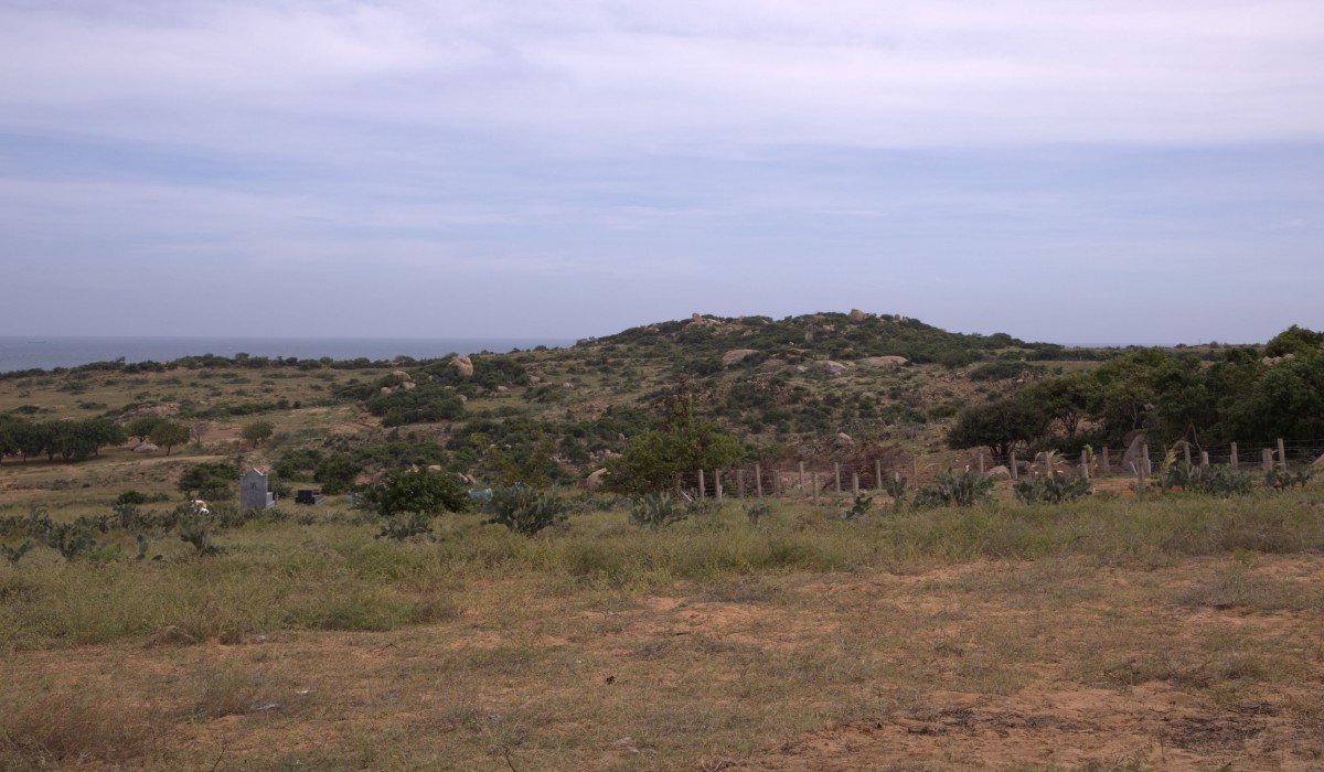 Tổng Bí thư Tô Lâm đi khảo sát địa điểm xây dựng Nhà máy điện hạt nhân Ninh Thuận 1 Tổng Bí thư Tô Lâm đi khảo sát địa điểm xây dựng Nhà máy điện hạt nhân Ninh Thuận 1