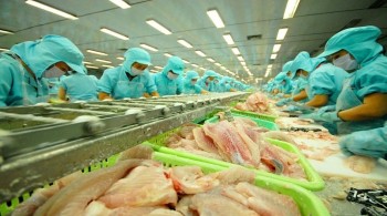 Xuất khẩu cá tra sang thị trường Malaysia tăng 21%