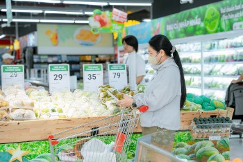 Tổng mức bán lẻ hàng hoá và doanh thu dịch vụ tiêu dùng 11 tháng năm 2024 tăng 8,8%