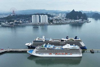 Bước chuyển mình mạnh mẽ của kinh tế biển Quảng Ninh