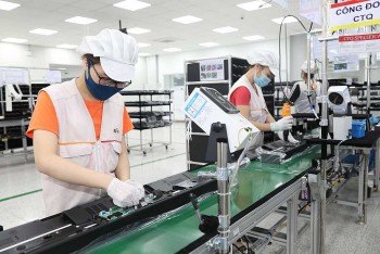 Quảng Ninh đầu tư mạnh mẽ cho khoa học - công nghệ và đổi mới sáng tạo