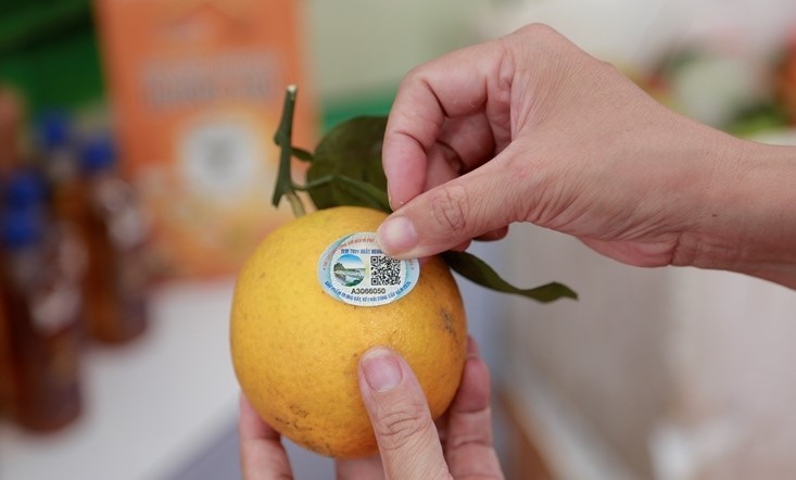 khẳng định thương hiệu sản phẩm vùng cao xứ thanh