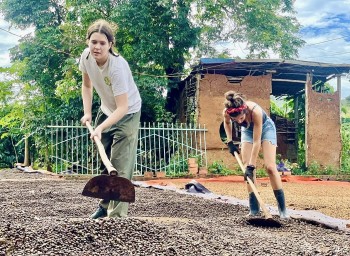 Gia Lai: Tình nguyện viên nước ngoài 'sắm vai' nông dân, trải nghiệm quy trình làm cà phê