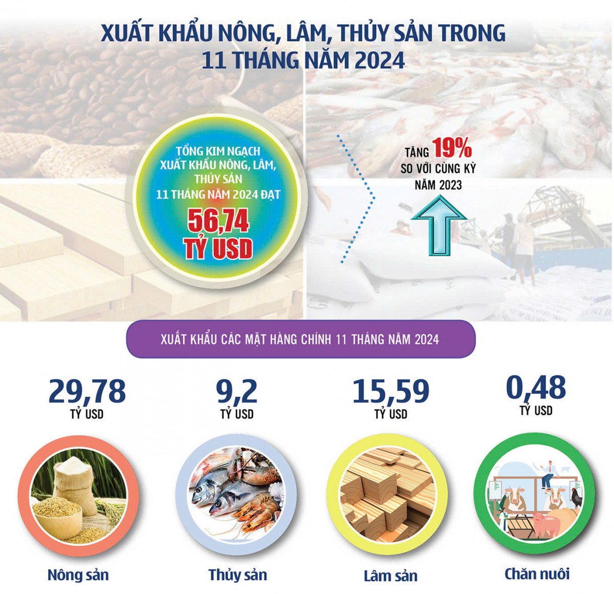 Infographic | Xuất khẩu nông, lâm, thủy sản năm 2024 hướng tới kỷ lục mới 60 tỷ USD