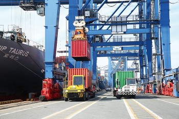 Thương mại Việt Nam - Hoa Kỳ đạt 123 tỷ USD trong 11 tháng năm 2024