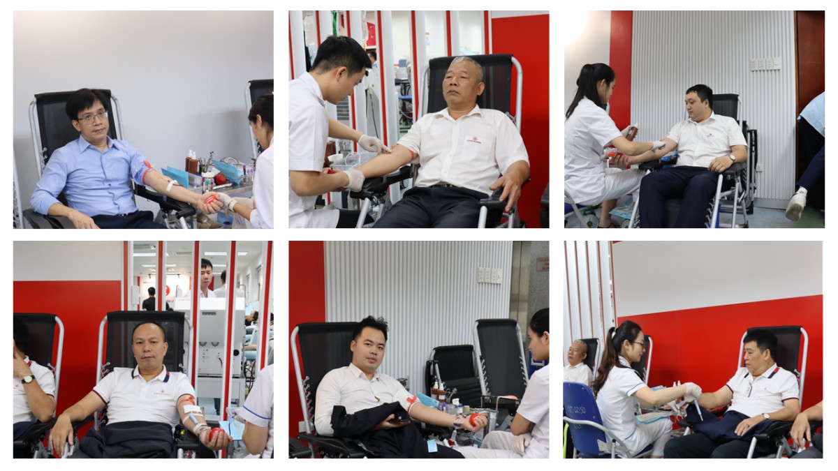 Công ty cổ phần Phát triển Điện lực Việt Nam Công ty cổ phần Phát triển Điện lực Việt Nam