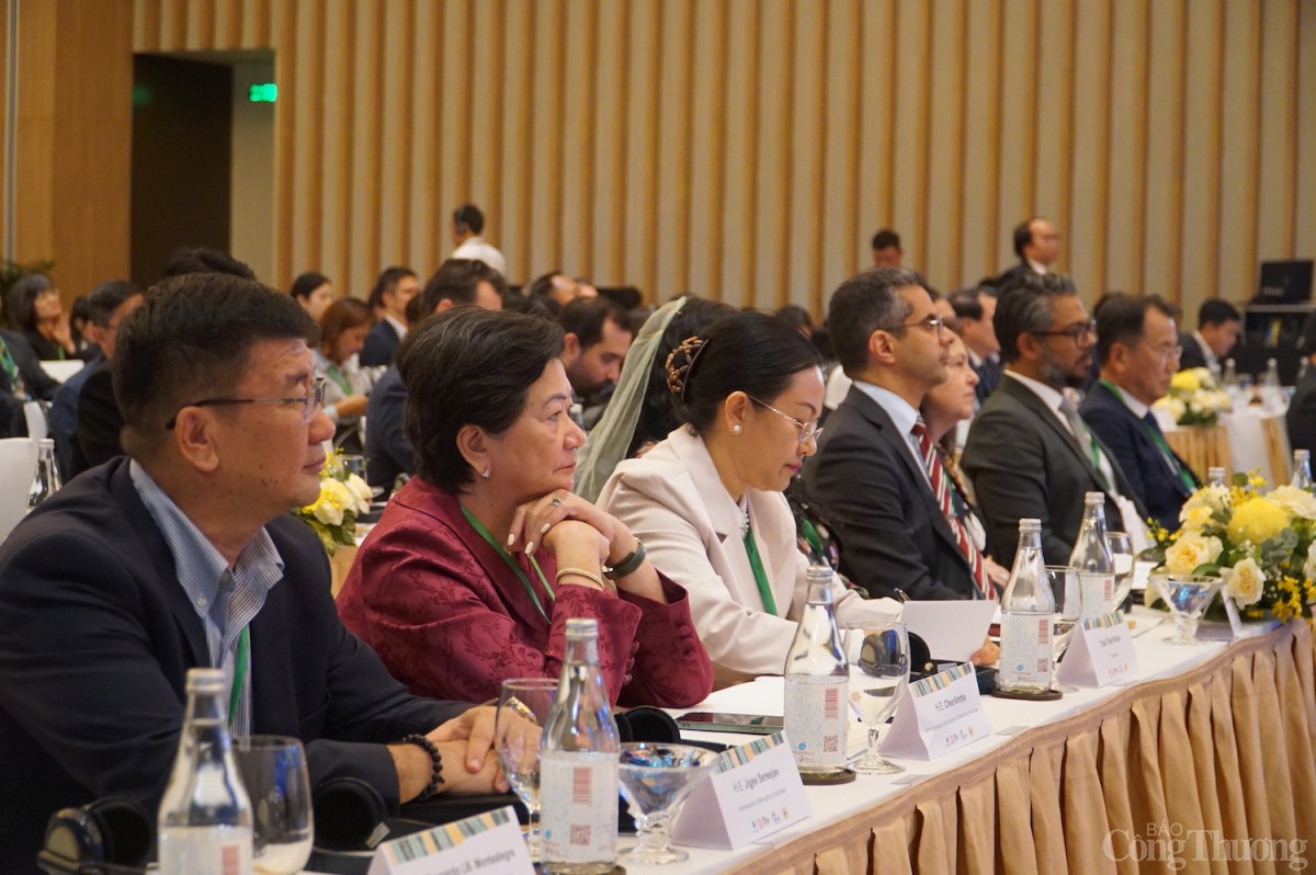 Các đại biểu tham dự Hội nghị Các đại biểu tham dự Hội nghị