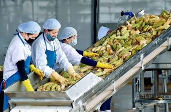 Tăng cường xuất khẩu sang thị trường EU thông qua bản đồ xúc tiến thương mại