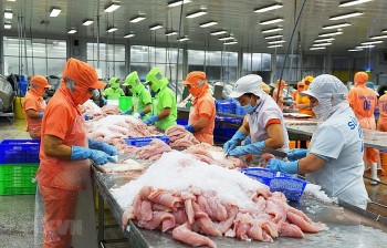 Xuất khẩu cá tra sang thị trường Trung Quốc giảm nhẹ