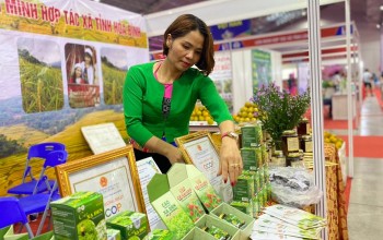 OCOP Hòa Bình: Xây dựng thương hiệu nông sản địa phương bền vững