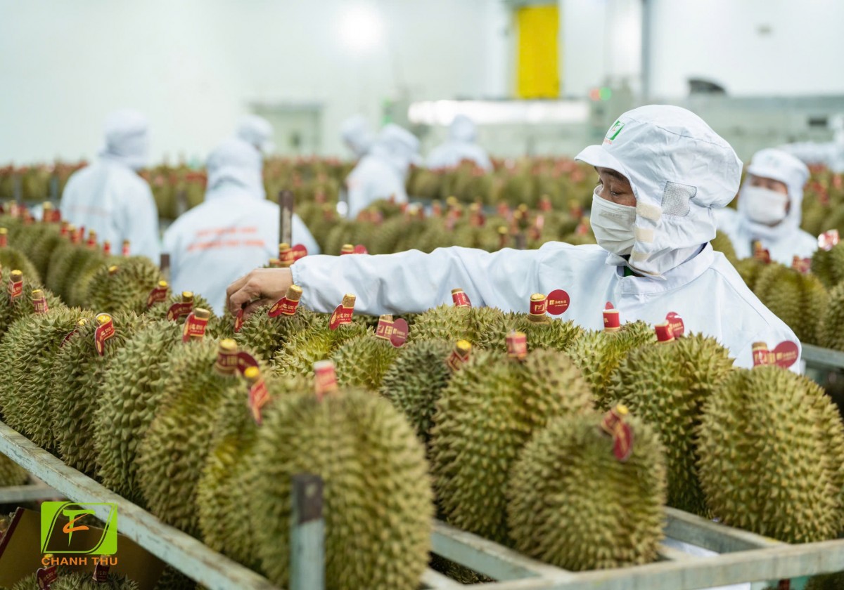 Chuyển đổi xanh phải bắt nguồn từ cải cách thể chế Chuyển đổi xanh phải bắt nguồn từ cải cách thể chế