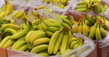 Chuối Việt Nam chiếm lĩnh kệ hàng nhiều chuỗi siêu thị ở Trung Quốc