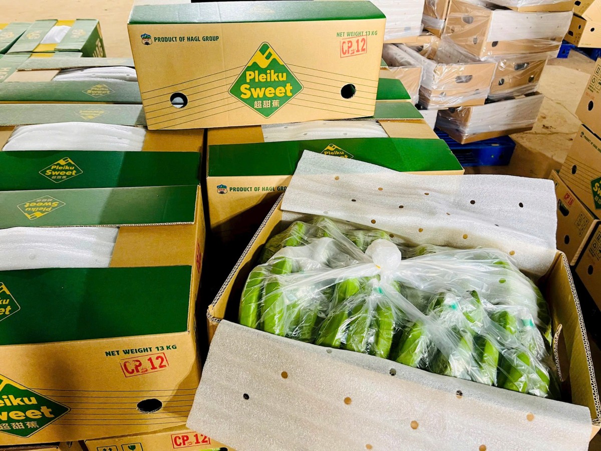 Chuối Việt Nam áp đảo, chiếm lĩnh kệ hàng nhiều chuỗi siêu thị ở Trung Quốc