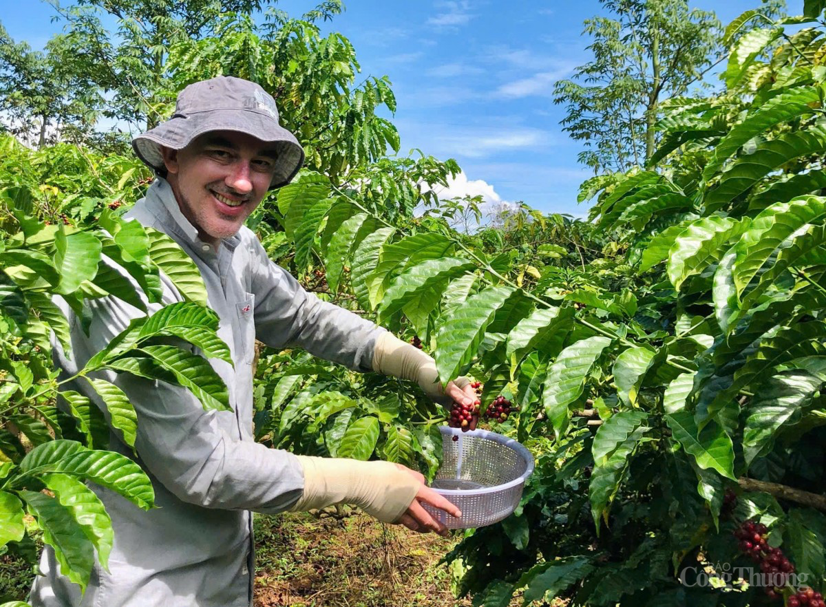 Dự báo giá cà phê ngày mai 14/12/2024: Giá cà phê tiếp tục đà tăng Dự báo giá cà phê ngày mai 14/12/2024: Giá cà phê tiếp tục đà tăng