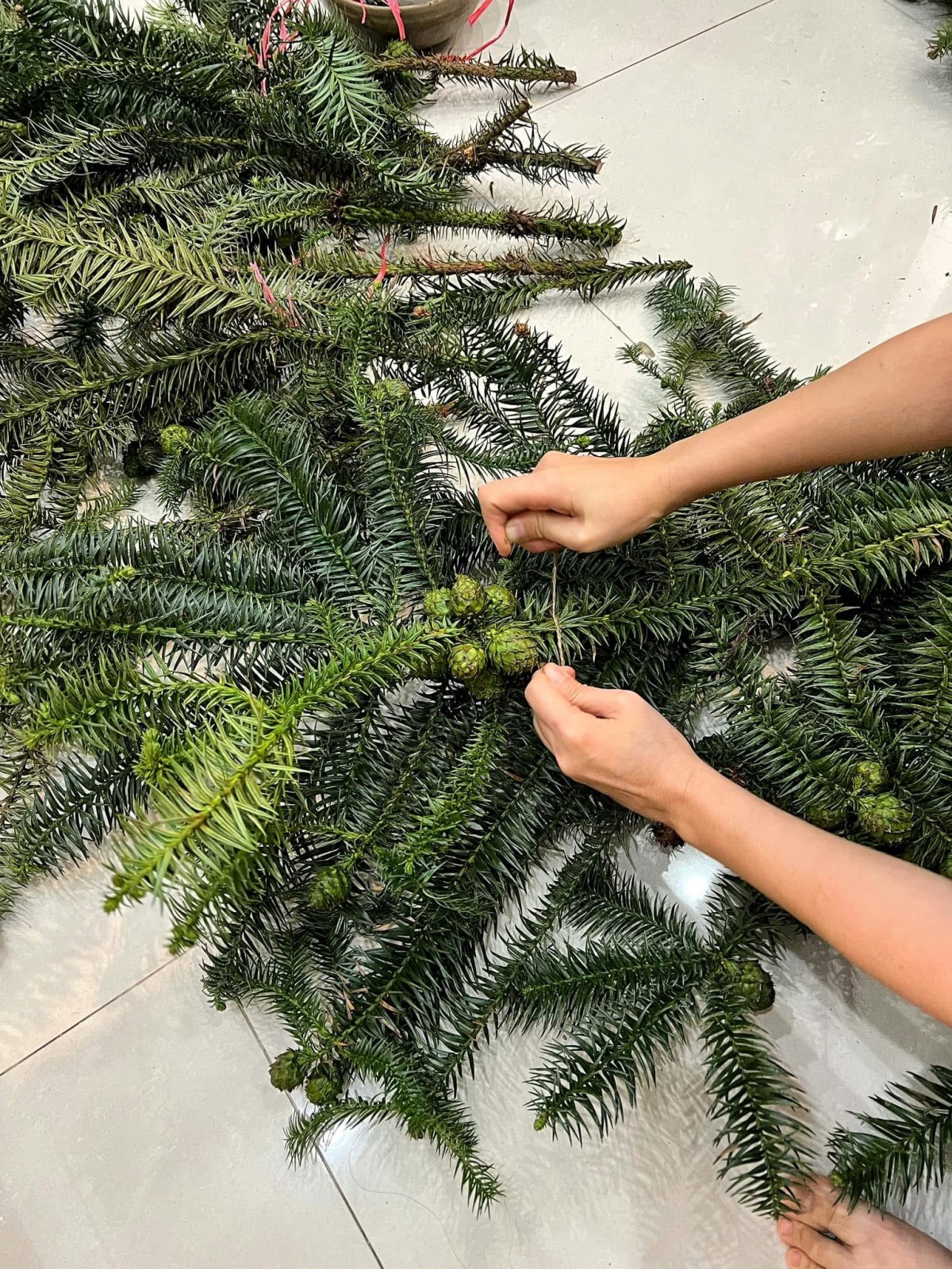 Ngoài cây thông tươi nhập khẩu, cành thông cũng được nhiều khách hàng lựa chọn vì giá thành và gọn nhẹ