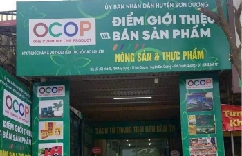 Tuyên Quang: Sản xuất tiêu thụ sản phẩm nông nghiệp theo hướng bền vững