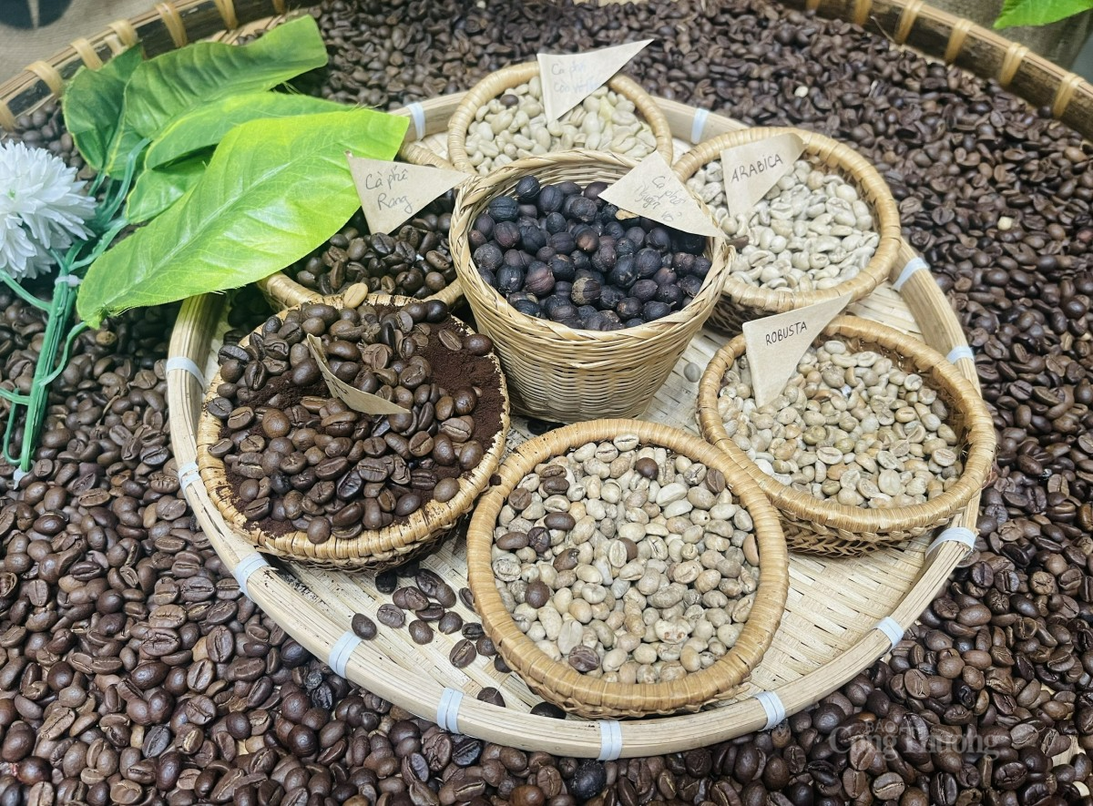 Cà phê Robusta giữ được đà tăng lên hơn 5.200 USD/tấn