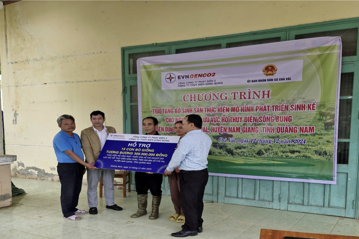 Công ty Thủy điện Sông Bung trao tặng 30 con bò giống cho hộ nghèo tại tỉnh Quảng Nam Công ty Thủy điện Sông Bung trao tặng 30 con bò giống cho hộ nghèo tại tỉnh Quảng Nam