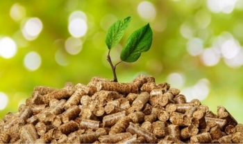 Năng lượng sinh khối - động lực xanh cho tương lai nông thôn Việt Nam